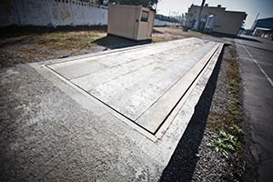 <span style="font-weight: bold;">Автомобильные весы</span>