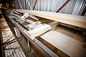 <span style="font-weight: bold;">Конвейерные весы и дозаторы</span>